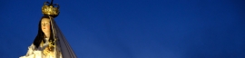 sl8v_2021