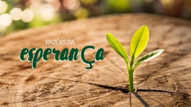 Liturgia e Homilias | VI Domingo da Páscoa A 2020