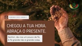 Liturgia e Homilias no XXVII Domingo Comum C 2022