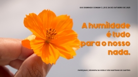 Liturgia e Homilias no XXX Domingo Comum C 2025