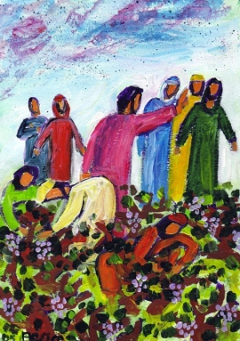 Liturgia e Homilias no XXVII Domingo Comum A 2017