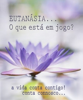 Liturgia e Homilias | VI Domingo Comum A 2020