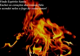 Liturgia e Homilia no XX Domingo Comum C 2016
