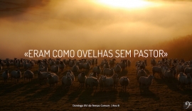 Liturgia e Homilias no XVI Domingo Comum B 2018