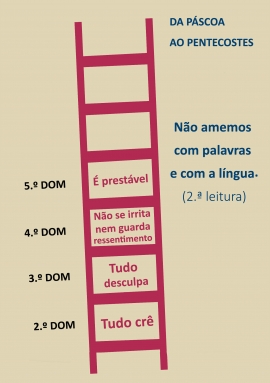 Liturgia e Homilias no V Domingo de Páscoa B 2018