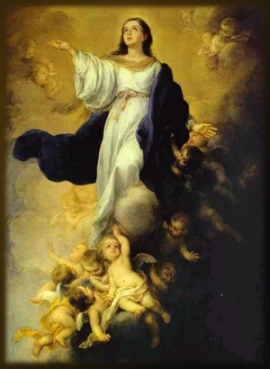 Liturgia e Homilias na Assunção da Virgem Santa Maria 2017