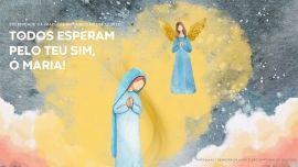 Liturgia e Homilias na Solenidade de Nossa Senhora da Conceição 2025