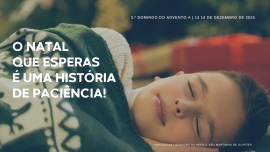 Liturgia e Homilias no 3.º Domingo do Advento A 2025